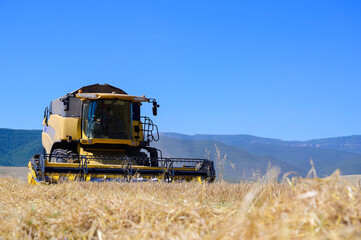 Harvester machine harvesting wheat in the field. Industry