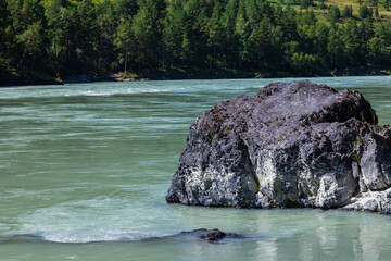 Mountain river - Turquoise Katun in Altai with a large stone - a gray cliff on the bank, carved by...