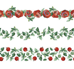 Tomatoes and basil: set of three seamless watercolour painted borders, isolated on white. For duct tape, recipe, menu, cookbook, stationery and packaging design.