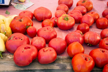 Fototapeta na wymiar cherry tomatoes on vine. Healthy organic food