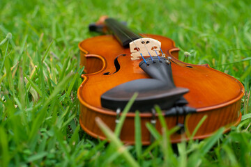 String instrument classical music brown violin outdoor at day