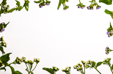 white background with whiteweed floral border. suitable for ppt