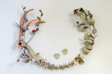 Autumnal composition of dry eucalyptus leaves . Frame of plants, flat lay, copy space.