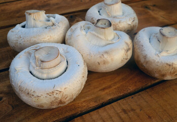Porcini mushrooms, champignons on a wooden background.