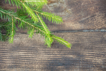 Christmas tree branch spruce branch on dark rustic wooden background. Christmas decorative border. Selective soft focus