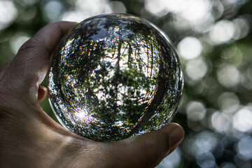 Glass orb showing the woods and a sunbeam of light