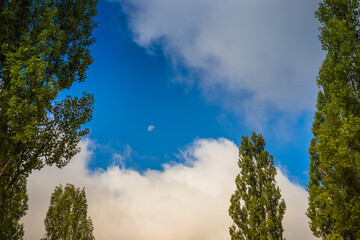Beautiful clouds and moon during the daytime. Moon in the daytime on a cloudy blue sky, surrounded by green trees.