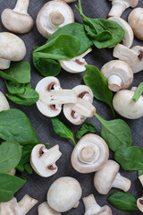 Mushrooms champignons with spinach on a blue background