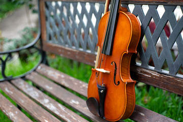 String instrument classical music brown violin outdoor at day