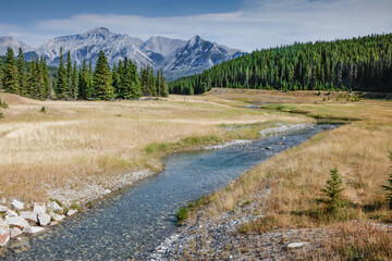 Fototapeta na wymiar mountain stream flowing through meadow in mountains