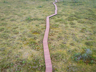 Summer view of wooden walkway on the territory of Sestroretsk swamp, ecological trail path - route...
