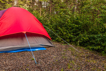 Red and blue camping tent in forest camp site lifestyle advanture.