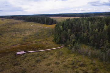 Summer view of wooden walkway on the territory of Sestroretsk swamp, ecological trail path - route...