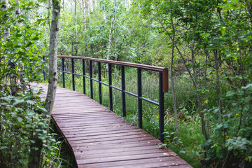 Summer view of wooden walkway on the territory of Sestroretsk swamp, ecological trail path - route walkways laid in the swamp, reserve 