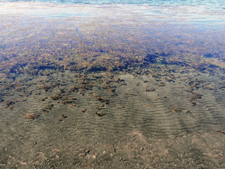 l'acqua limpida delle rive del lago