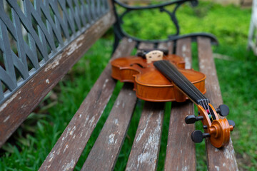 String instrument classical music brown violin outdoor at day