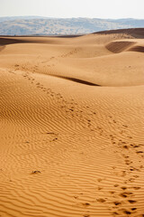 Yellow desert dunes and sky