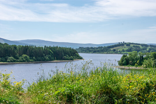 Wicklow Mountains at Blessington Lakes