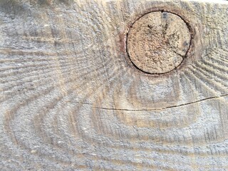 wooden texture background wooden eye