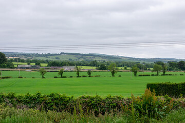 Green Irish fields