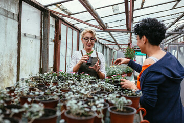 women gardener working in her greenhouse