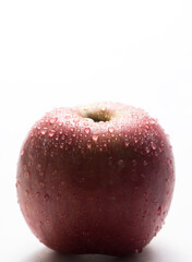 Variegated apple red and yellow with water drops on white background. Health and freshness concept. Copy space