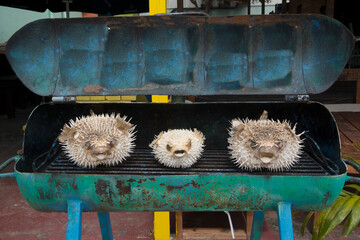 blowfish barbecue in the caribbean restaurant © Erick Ramos