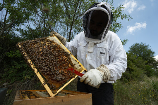 Wide-angle shot of a beekeeper and a beehive frame on a sunny day