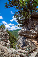 Beautiful natural landscape on Mount Koshka, a landmark in Crimea