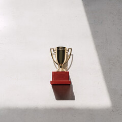 Candid flat lay of a competition trophy on white background with window light and shadows. Top view...