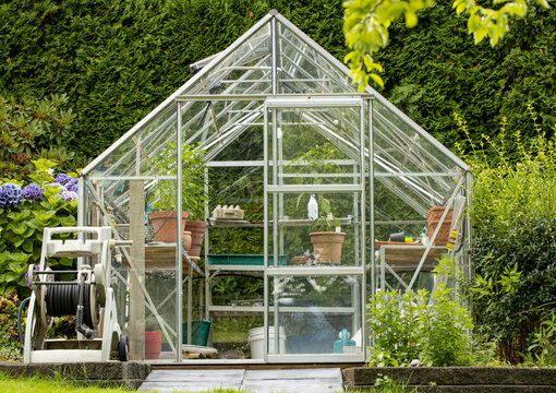 Backyard greenhouse with plants in terra cotta pots