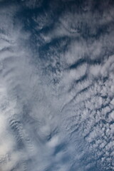 portrait image of the blue sky covered by a sheet of white clouds stirred by the winds.
