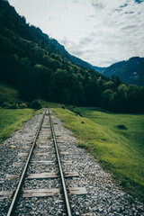 Fototapeta premium Paisaje con vías de un tren en un campo verde