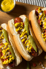 Homemade Chicago Style Hot Dog and Fries