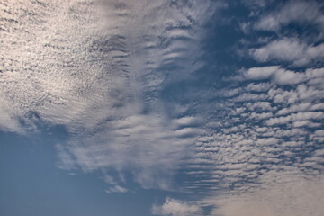 Obraz premium blue sky covered by small tufts of white clouds that extend to the horizon.