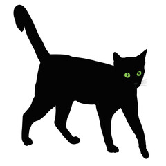  illustration of a black cat on a white background. The cat is standingt . Silhouette of a cat