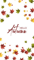 Autumn vertical design with colorful falling maple leaves. Place for text. Vector illustration