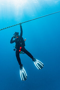 Diver holding on to rope during the mandatory three minute safety stop