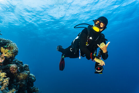 diver exploring the Great Barrie Reef