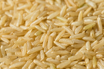 Raw Dry Organic Brown Rice