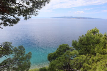 Seascape pine trees and sea on the coast of Croatia. View of the clear turquoise sea, green pine trees and an island on the horizon on a sunny day