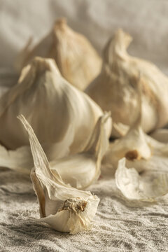 Garlic Close Up