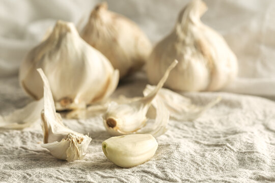 Garlic Close Up