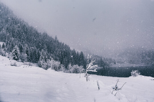 Heavy Snowfall in Swiss Alps
