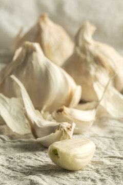 Garlic Close Up
