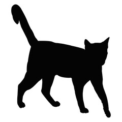 illustration of a black cat on a white background. The cat is standingt . Silhouette of a cat