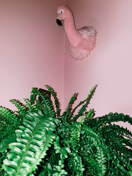 Muppet Pink Flamingo Head Trophy on the wall . Vibrant Green plant in the bottom of the Vertical Frame. Copy Space in the Corner of the Room