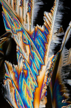 Crystalized citric acid under polarized light