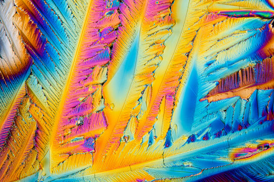Crystalized citric acid under polarized light