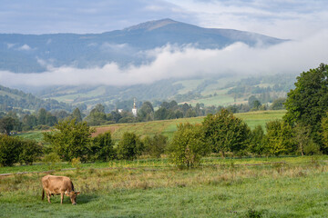 Traditional swiss early autumn view of misty morning in the mountains